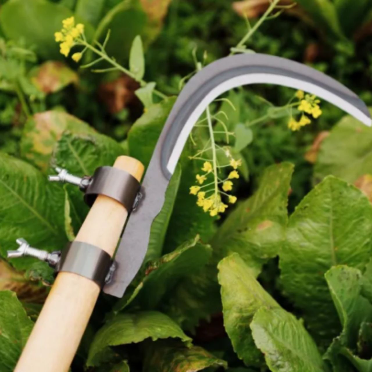 AgroTool, Taglia Rami, Erbacce, Spine e Vegetazione - Image 9