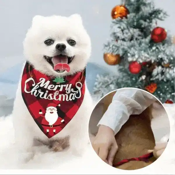 Bandana, il foulard di Natale per cani - Image 3