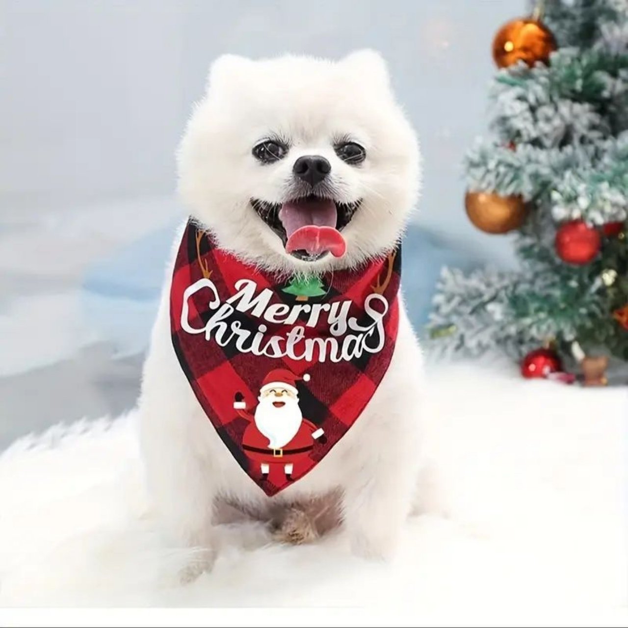 Lascia che il tuo cane brilli nello spirito festivo