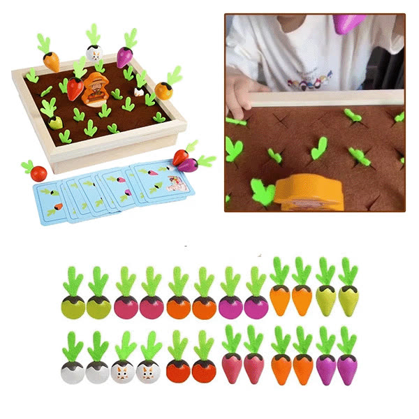 CAROTA, Gioco di memoria CarrotFun - video