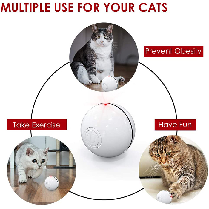 CatToy, un giocattolo per un gatto che fugge e agita la sua piuma - Image 6