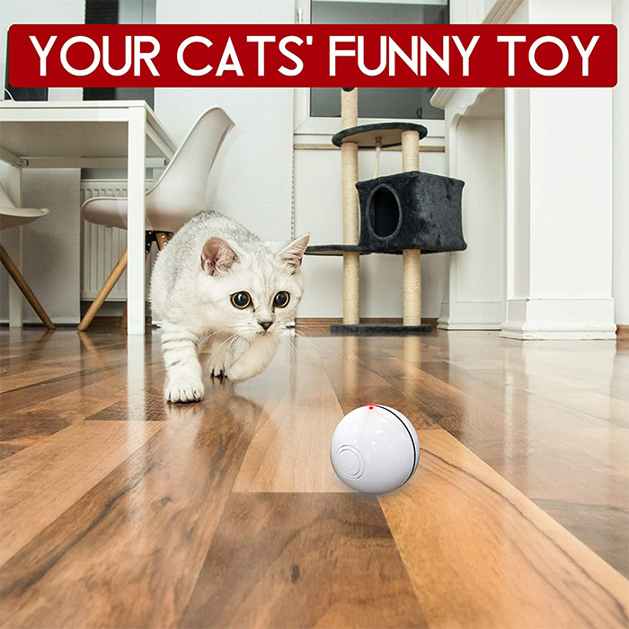 La pallina si muove automaticamente sul pavimento, sventolando una piuma e intrattenendo il gattino con una luce finché non si stanca!