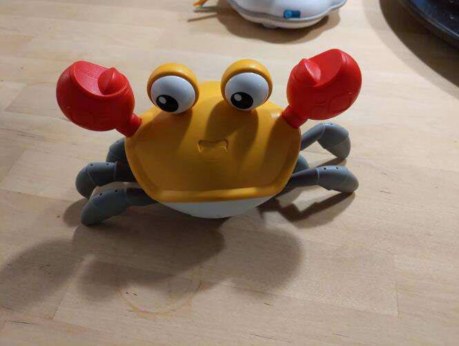 CrawlingCrab, un granchio interattivo che si muove quando ti avvicini - Image 1