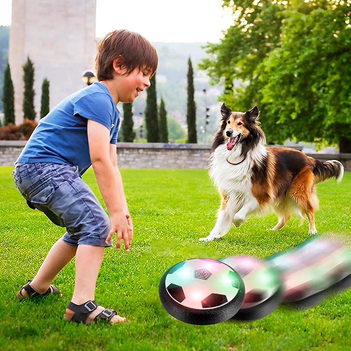 Con questo giocattolo interattivo, il tuo cane sarà meno stressato in quanto sarà stimolato mentalmente e fisicamente.