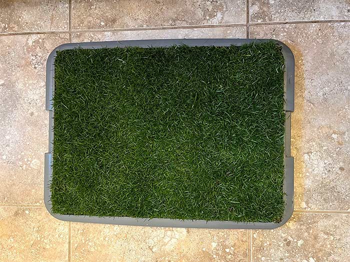 GrassMat, un tappeto dall'aspetto di erba naturale - Image 9