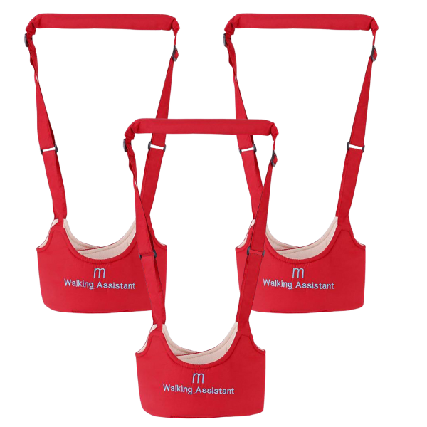 HODNOS-ROZ, Porta bambini per l'apprendimento della camminata - Image 6
