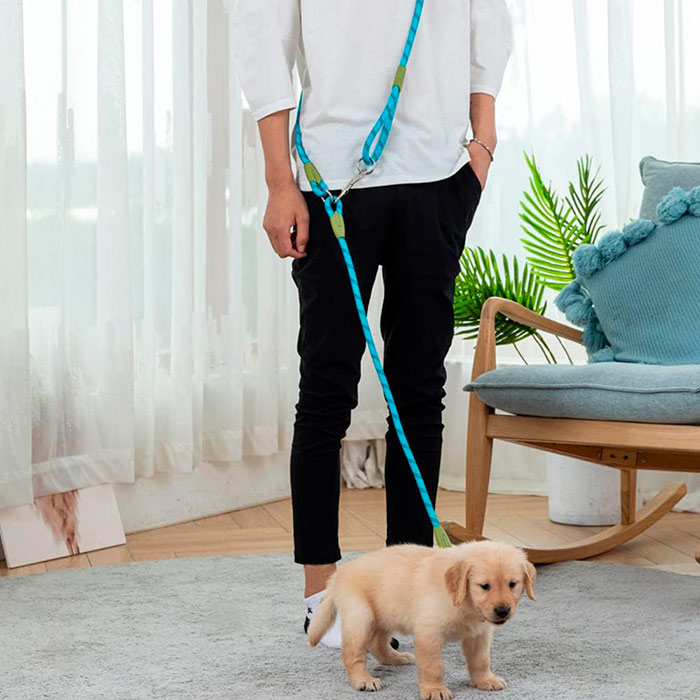 HandsFree, guinzaglio per portare a spasso il cane a mani libere - Image 8