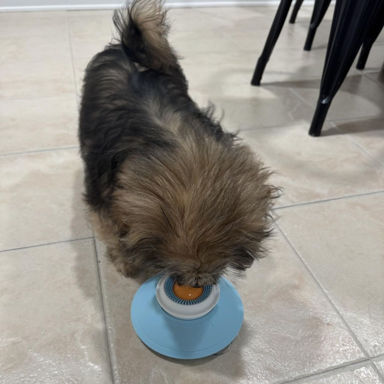 Giocattolo interattivo per alimentazione lenta, Licky - Image 4