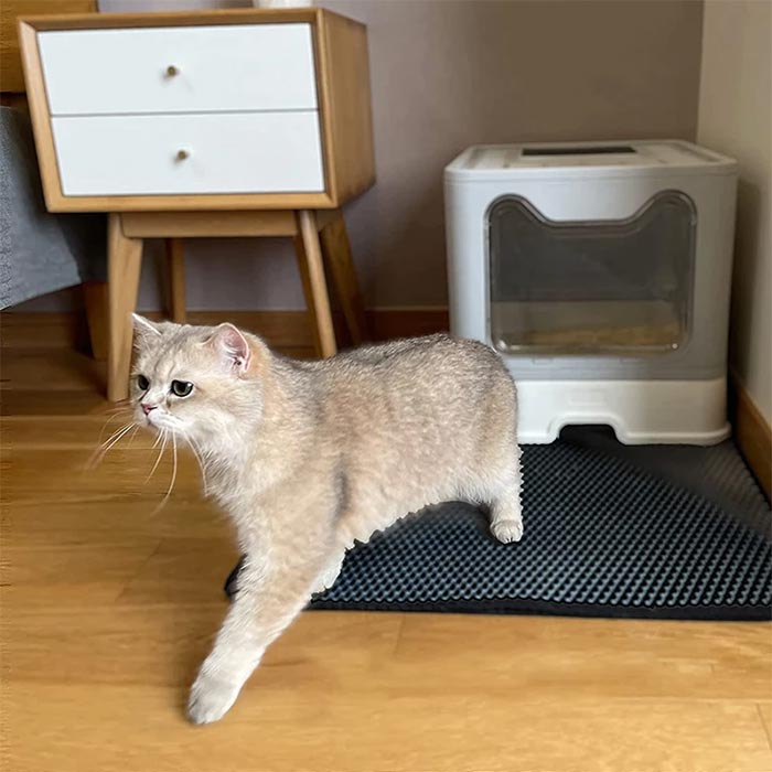 LitterMat, tappetino per lettiera per gatti che cattura la sabbia - Image 2