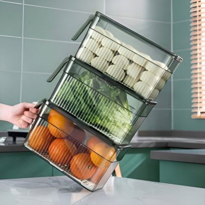 ORGADISH-TST, Organizzatore trasparente per alimenti - Image 2