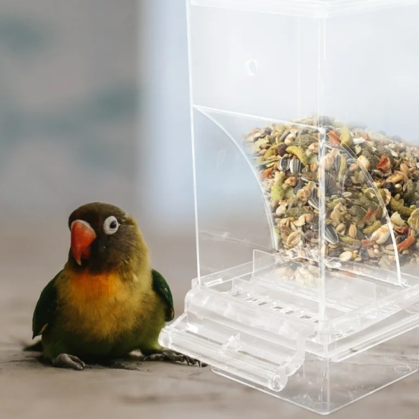 PAPIGA, Distributore di cibo per animali domestici - Image 5