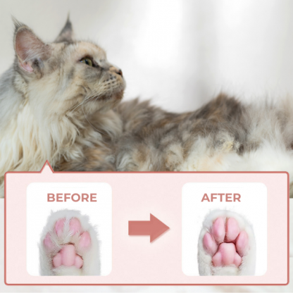 PAWTREAMER, Mini Trimmer PawPerfect per Animali Domestici - Image 4