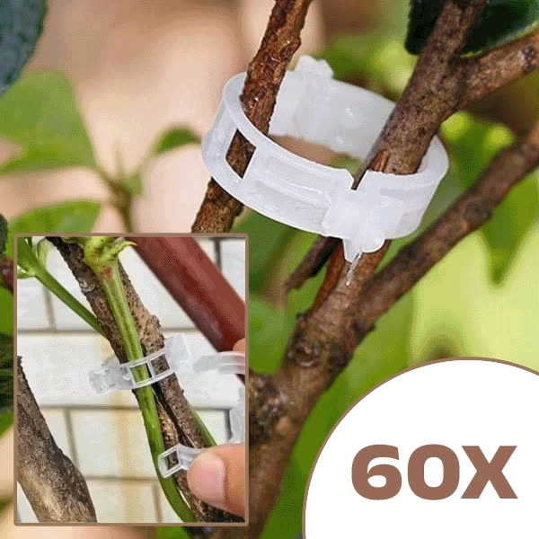 PLANTCLIP, GreenGrow Supporto per Piante - 60 Clip - video