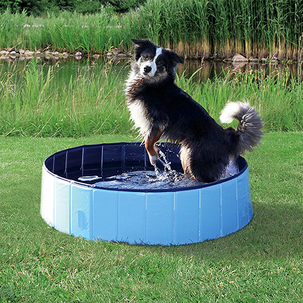 PawlyPool, piscina pieghevole per bambini e animali domestici - Image 10