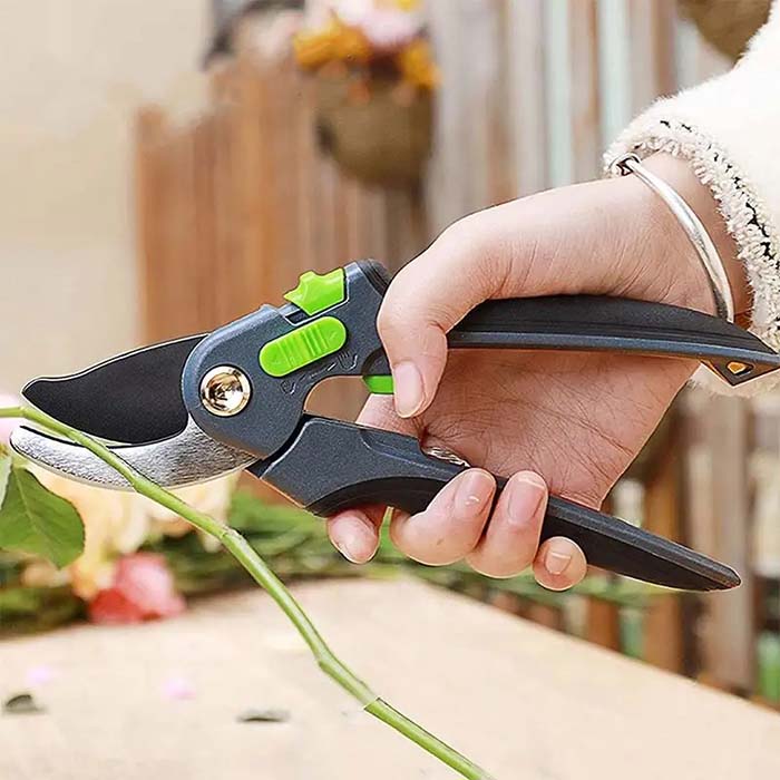 Pruner, forbici per potatura e taglio - Image 9