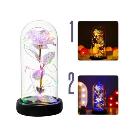 ROSELIG, Rosa luminosa in cupola di vetro - Image 4