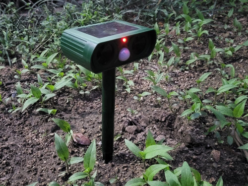 RepellentSensor, un repellente a energia solare per animali e parassiti del giardino - Image 10