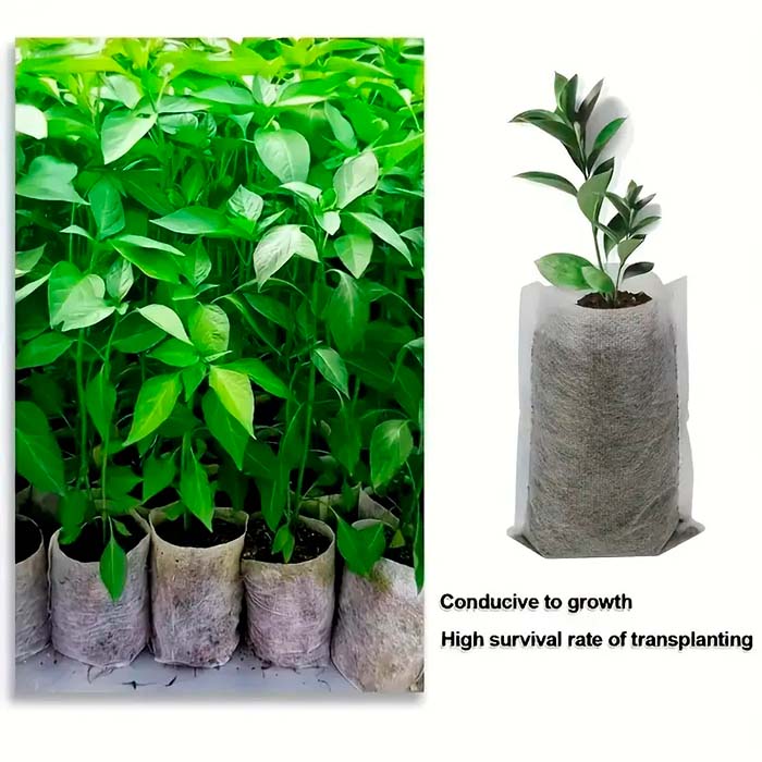 SeedBags, sacchetti biodegradabili per piantare e far crescere le piante (100 pz) - Image 4