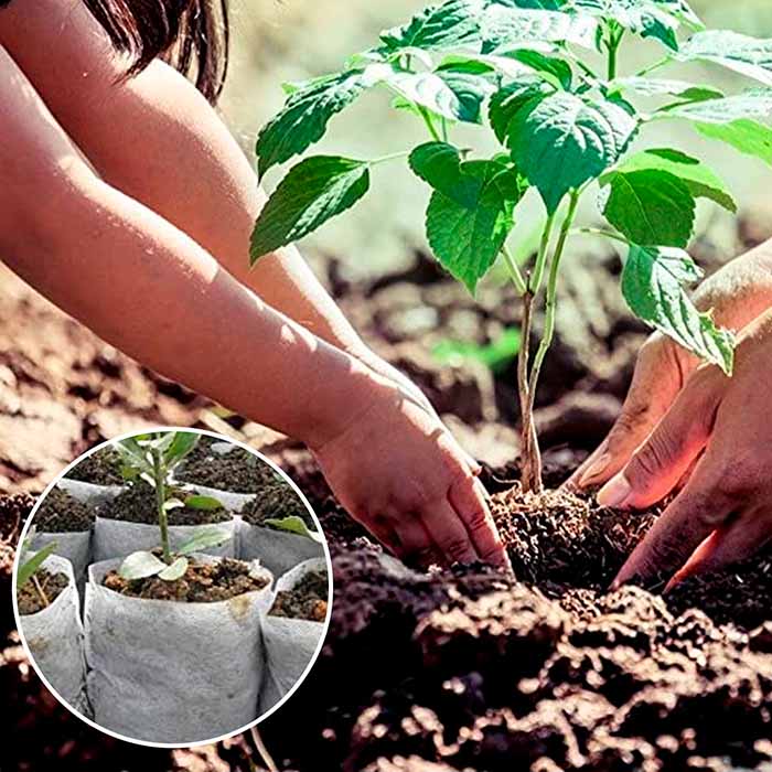 SeedBags, sacchetti biodegradabili per piantare e far crescere le piante (100 pz) - Image 7