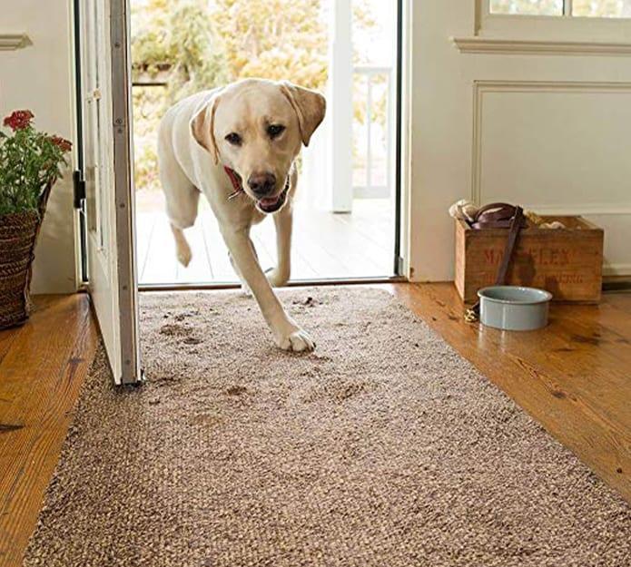 SuperStep, un tappeto per pulire piedi e zampe con un solo passaggio - Image 5